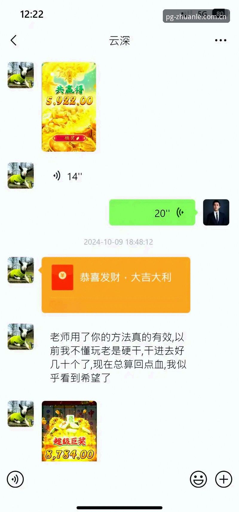 PG电子安装指南使用技巧深度分析：从下载到设置的全面解析